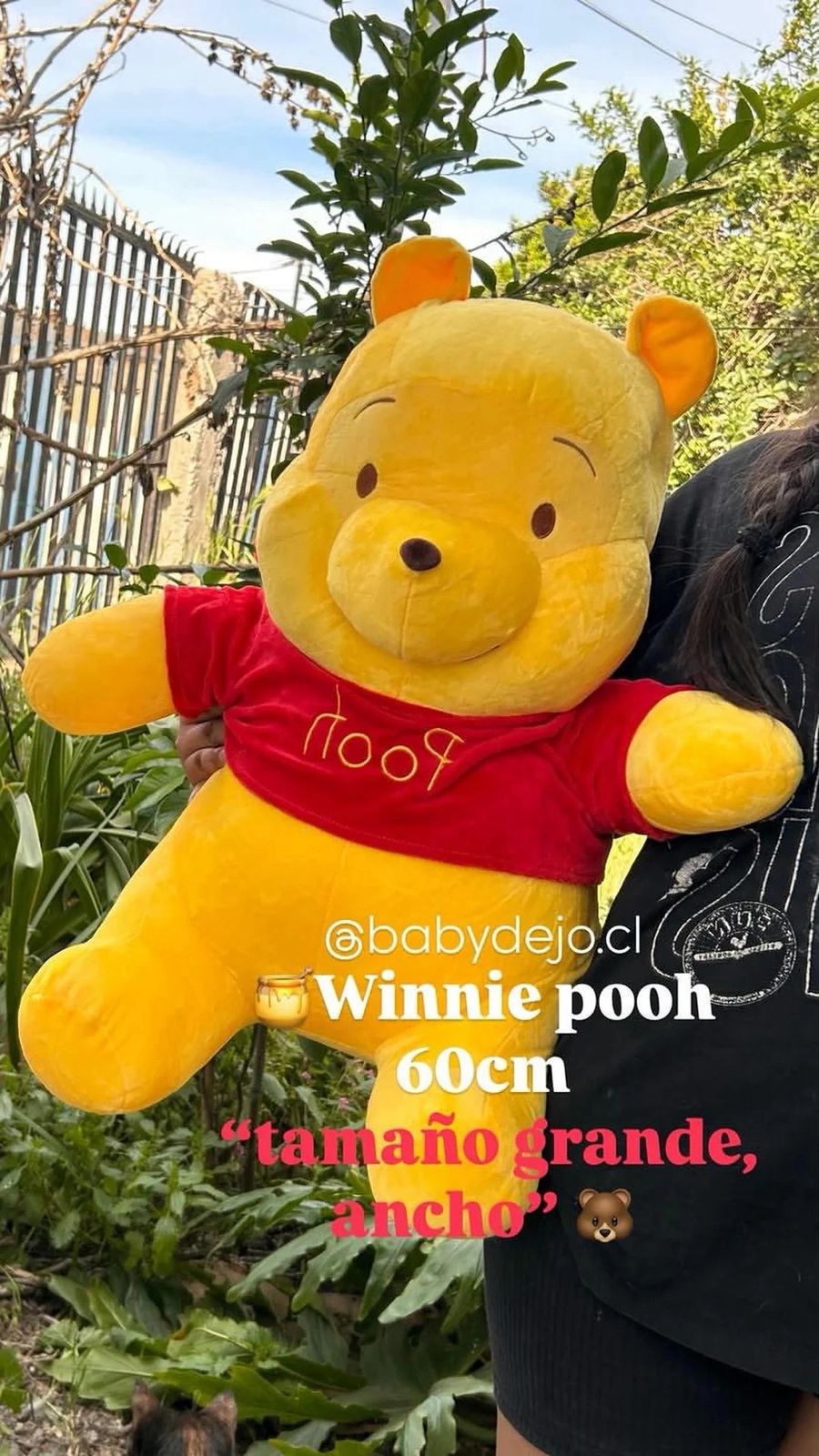 OSO WINNIE the POOH ``grande`` 60cm - Image 1