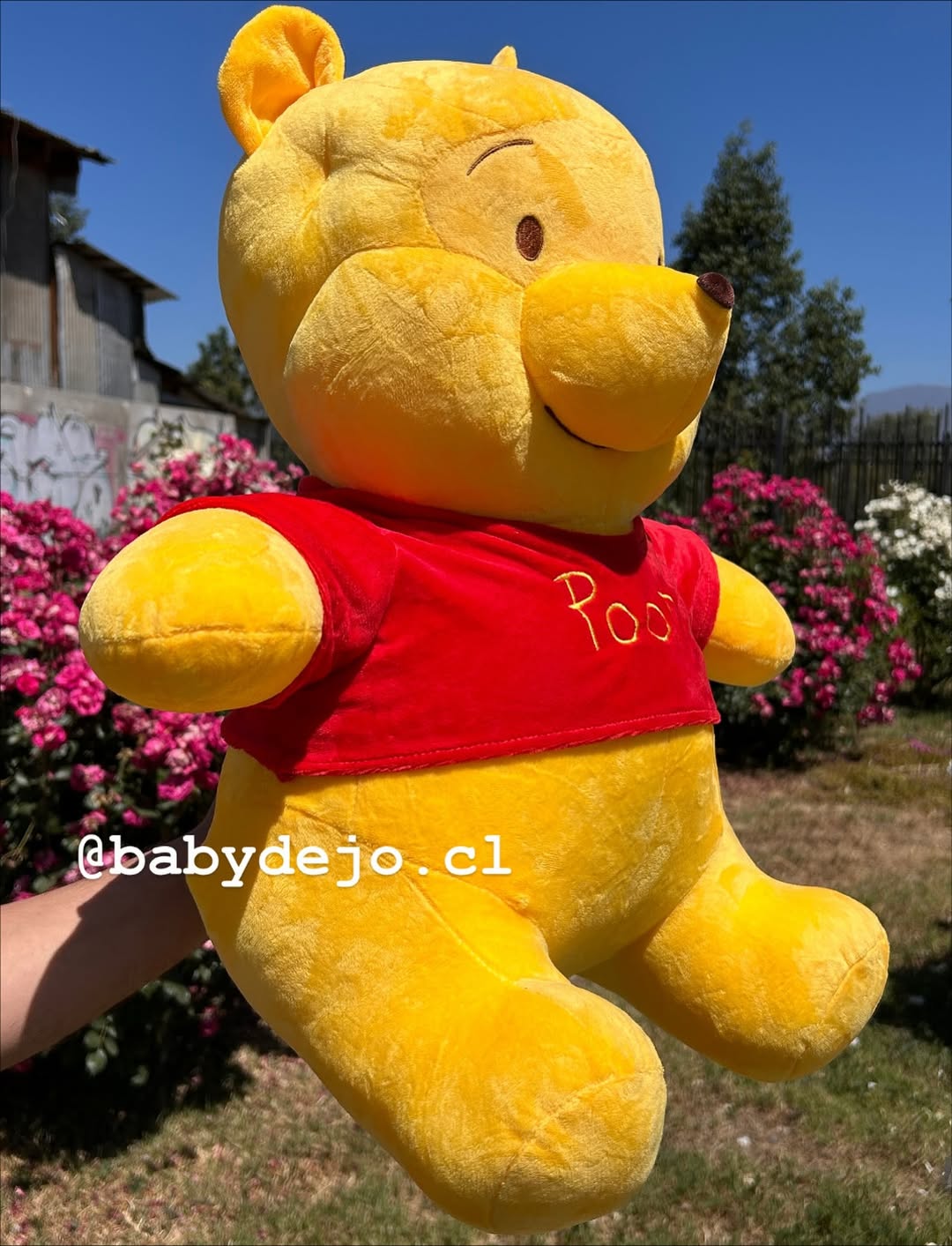 OSO WINNIE the POOH ``grande`` 60cm - Image 2