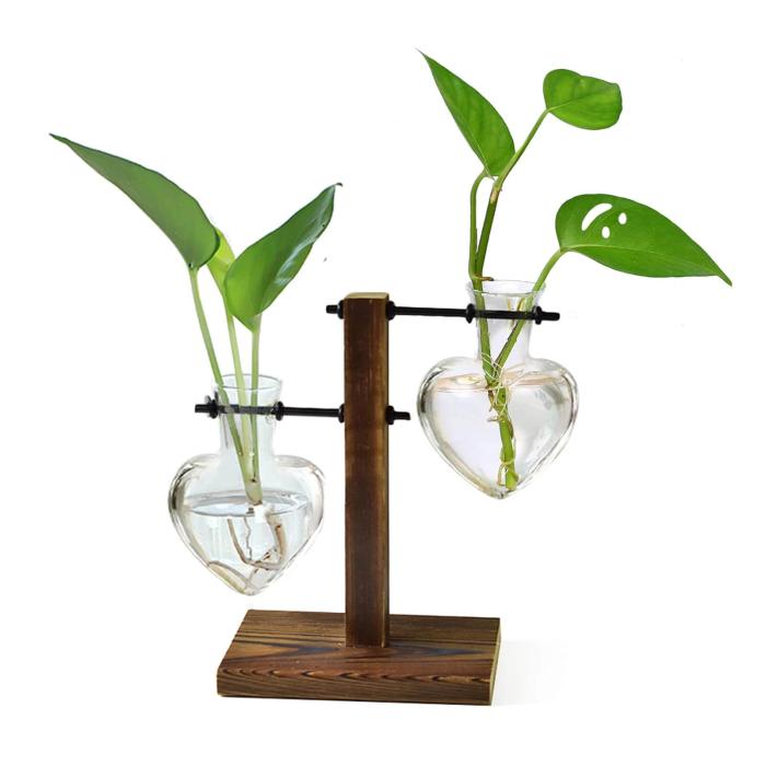 Terrario Hidropónico Retro con Soporte de Madera (2 Niveles) - Jarrón de Bombilla de Vidrio para Plantas Acuáticas y Decoración de Oficina y Hogar - Image 1
