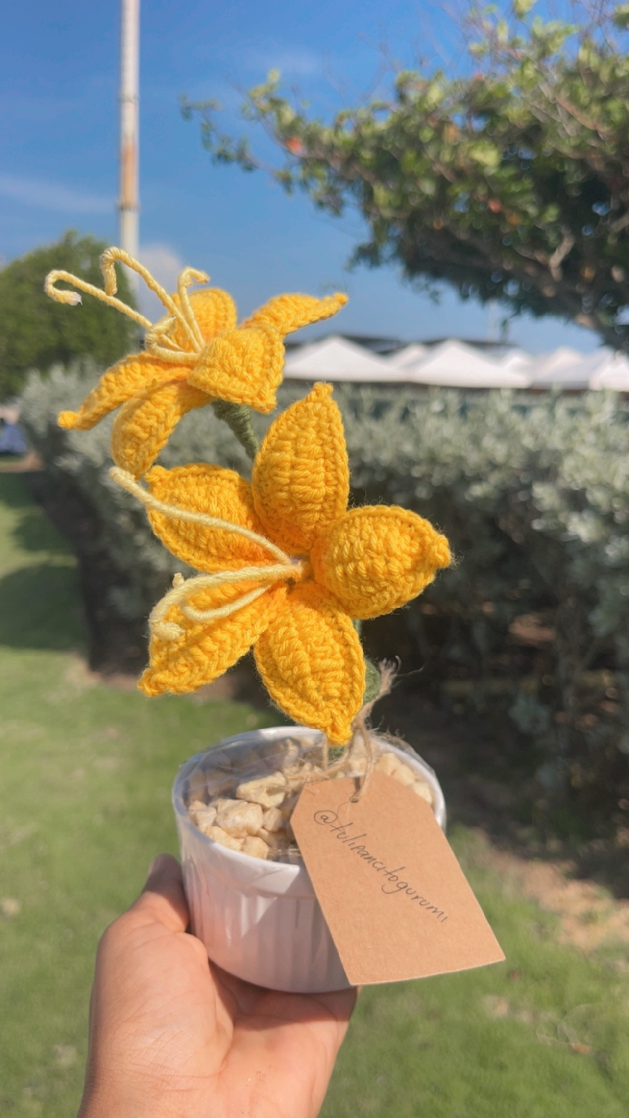 Maceta de lirios 🌺 - Image 1