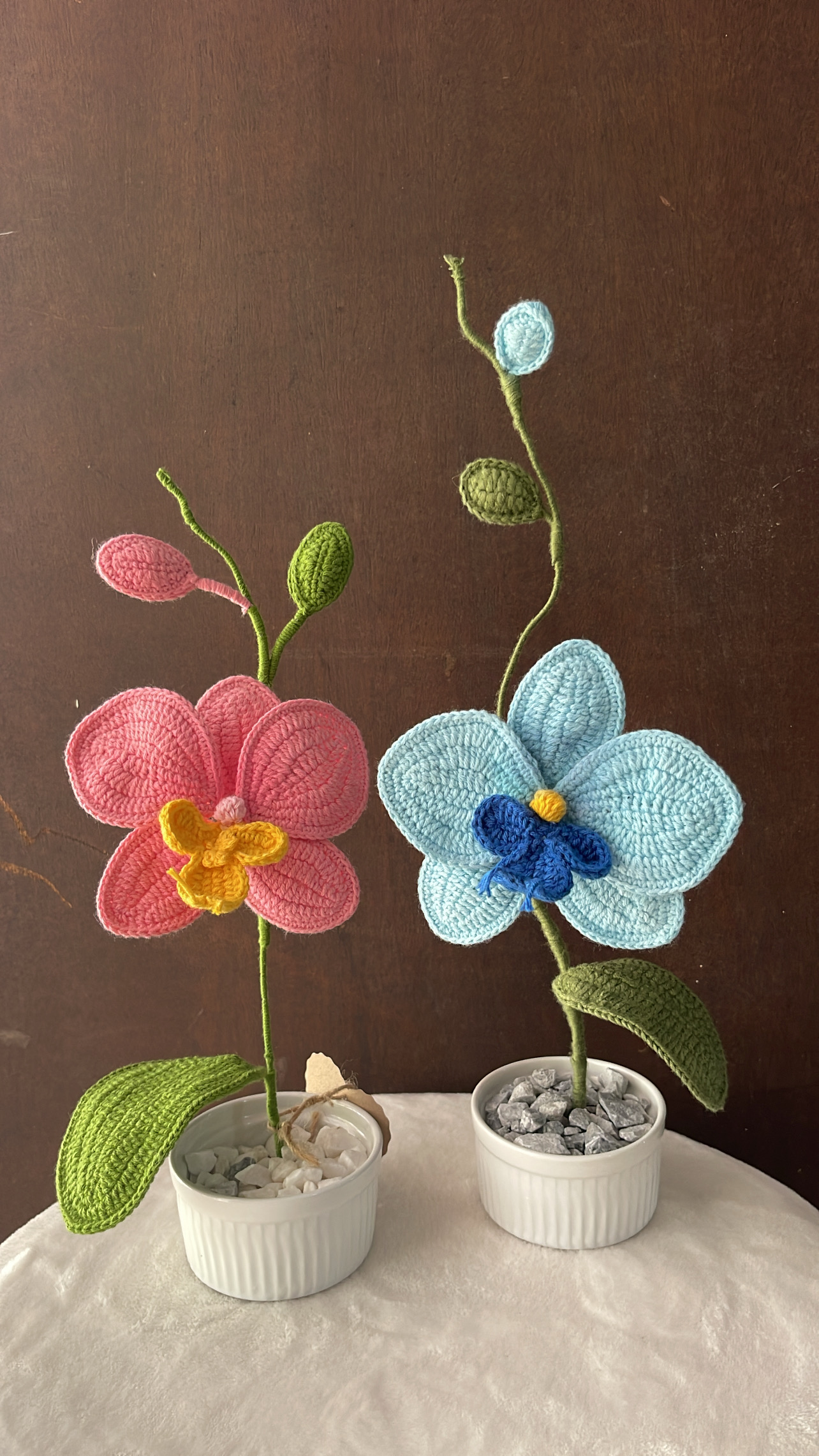 Maceta de Orquídeas - Image 1