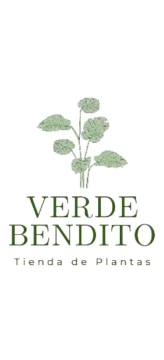 Verde bendito
