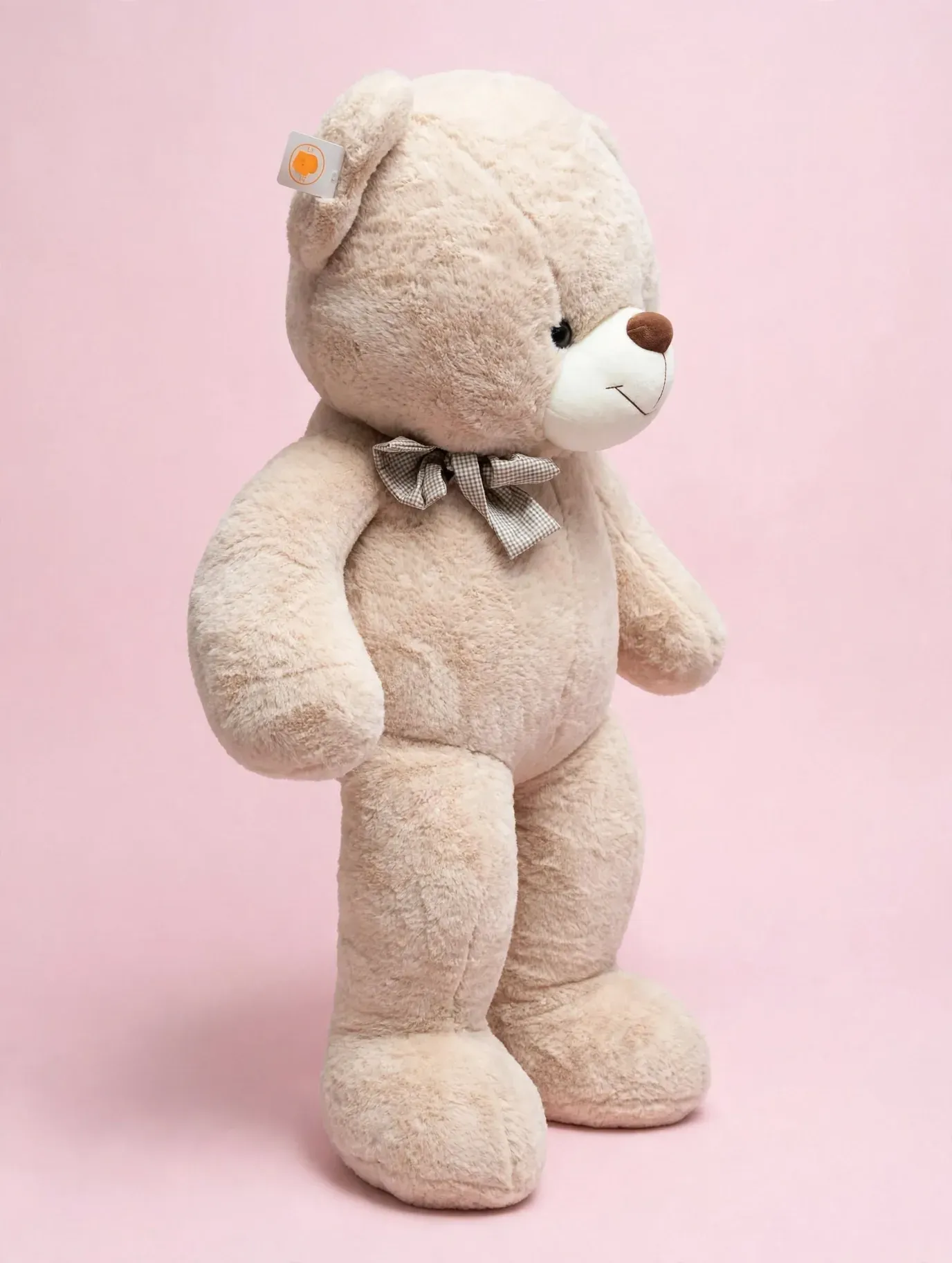 ¡EL REGALO QUE PROVOCA GRITOS DE FELICIDAD! 🥹🧸 - Image 5