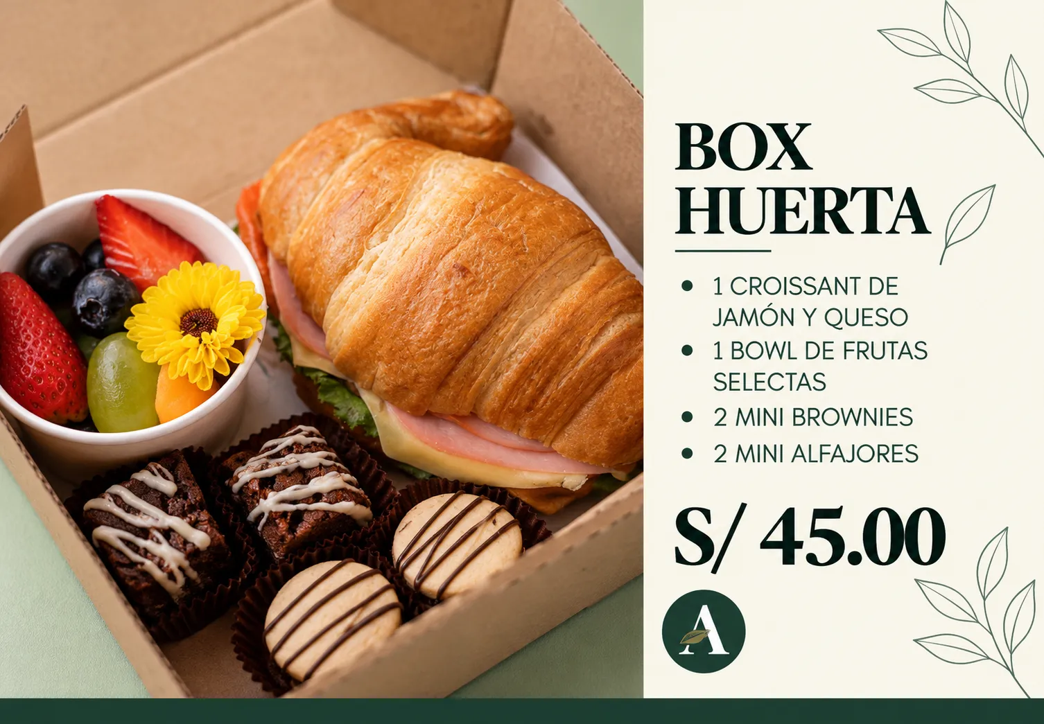 Box huerta