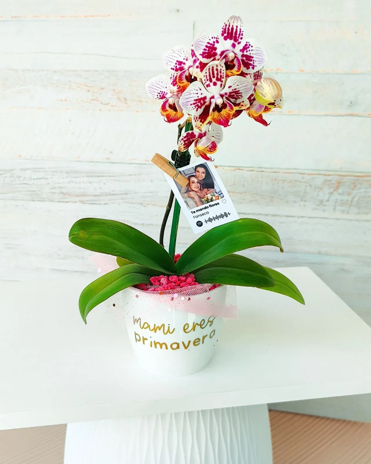 Orquídea - Maceta personalizada + polaroid