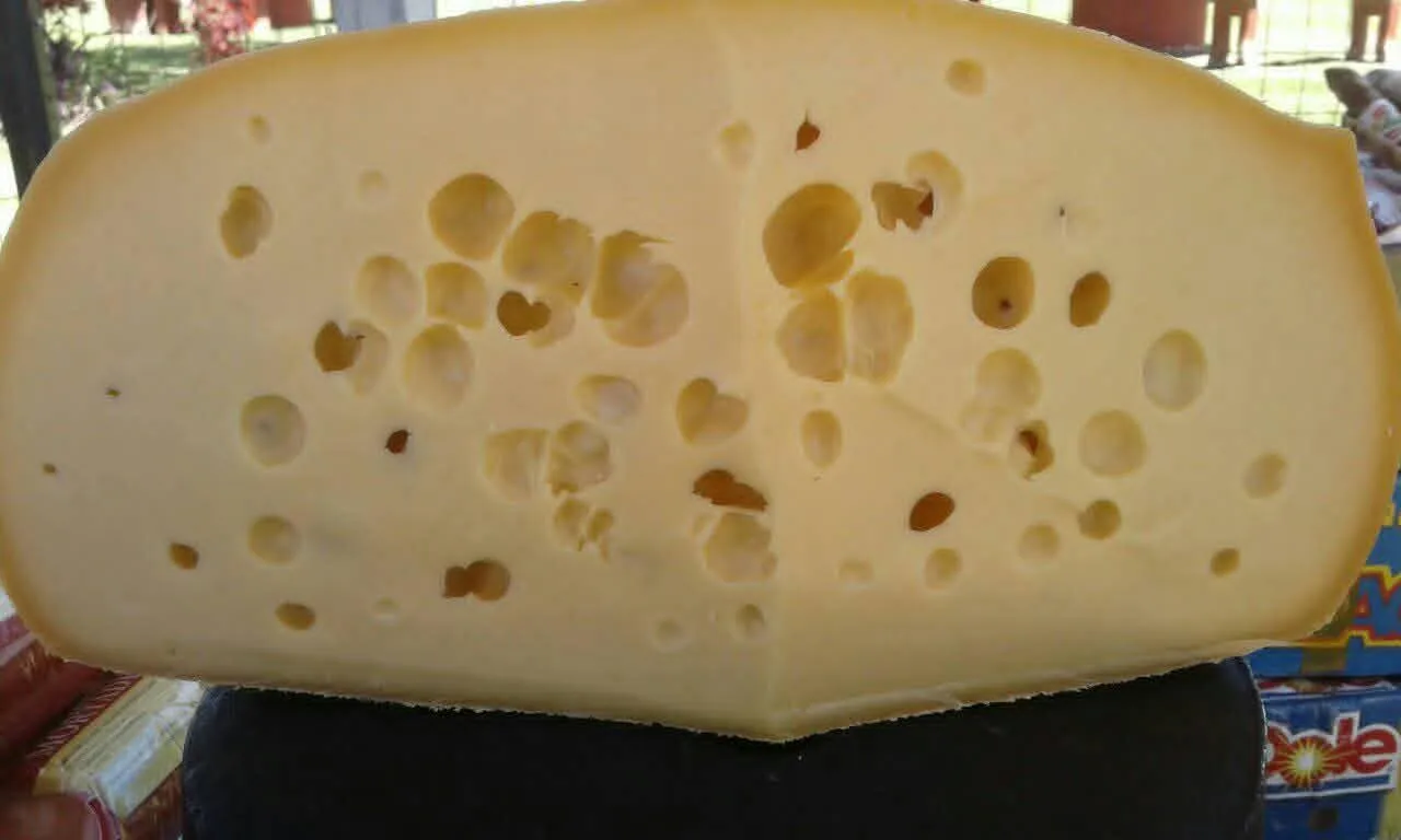 Queso colonia