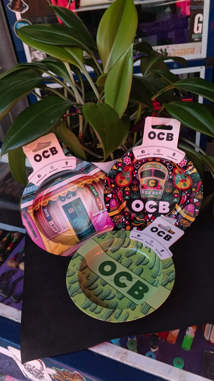 🖤 Cenicero OCB