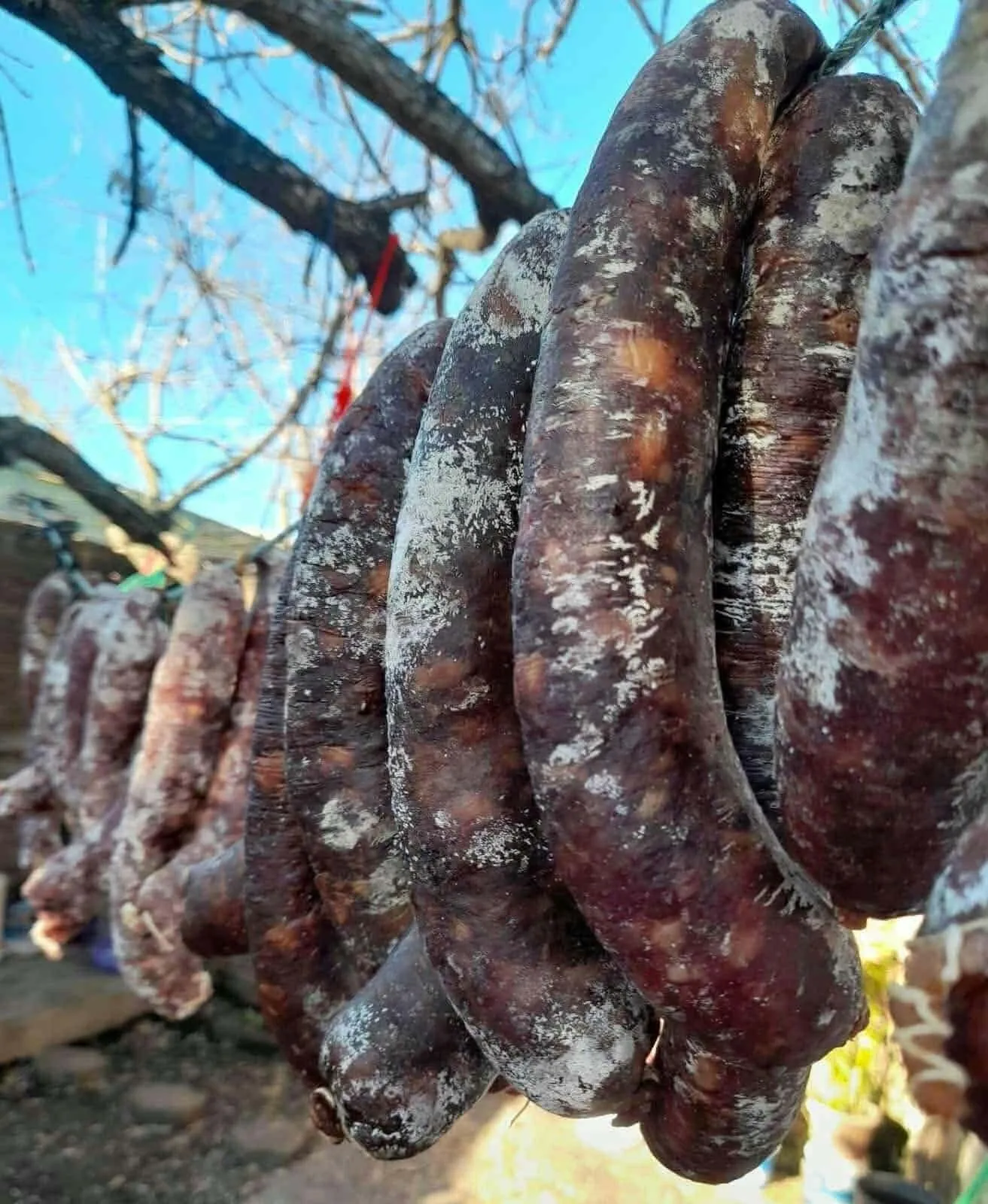 Chorizo seco por pierna 