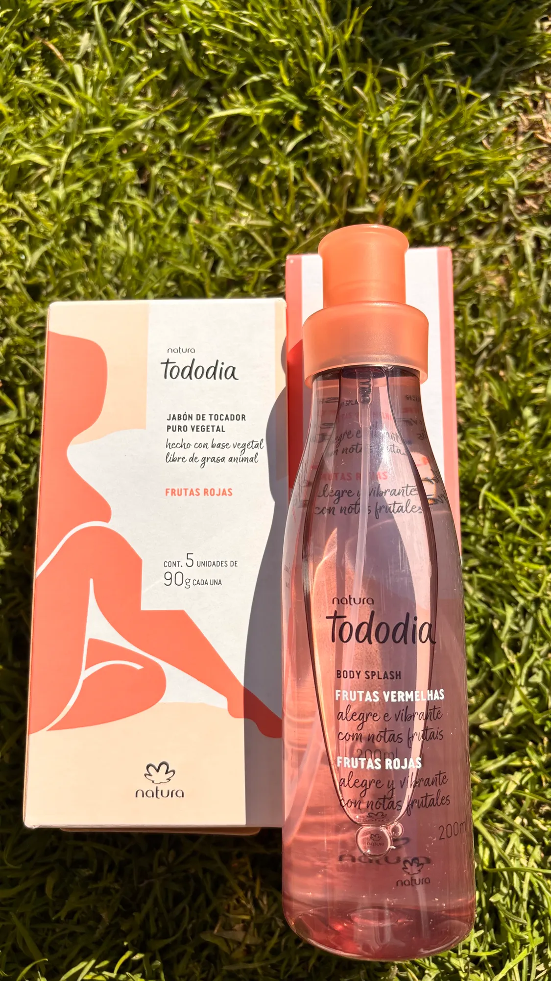 ✨ Kit Tododia Frutas Rojas ✨