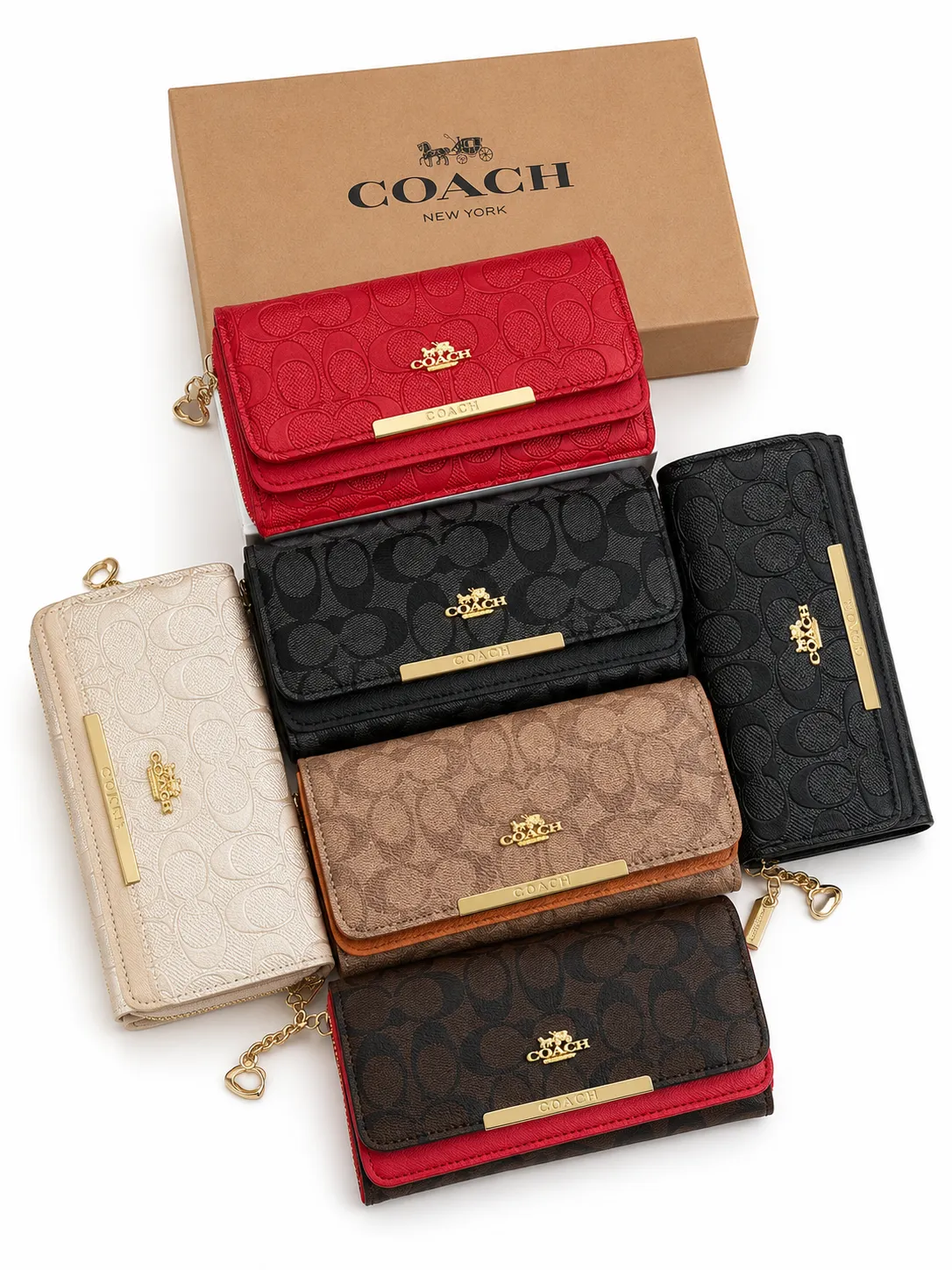 BILLETERA COACH