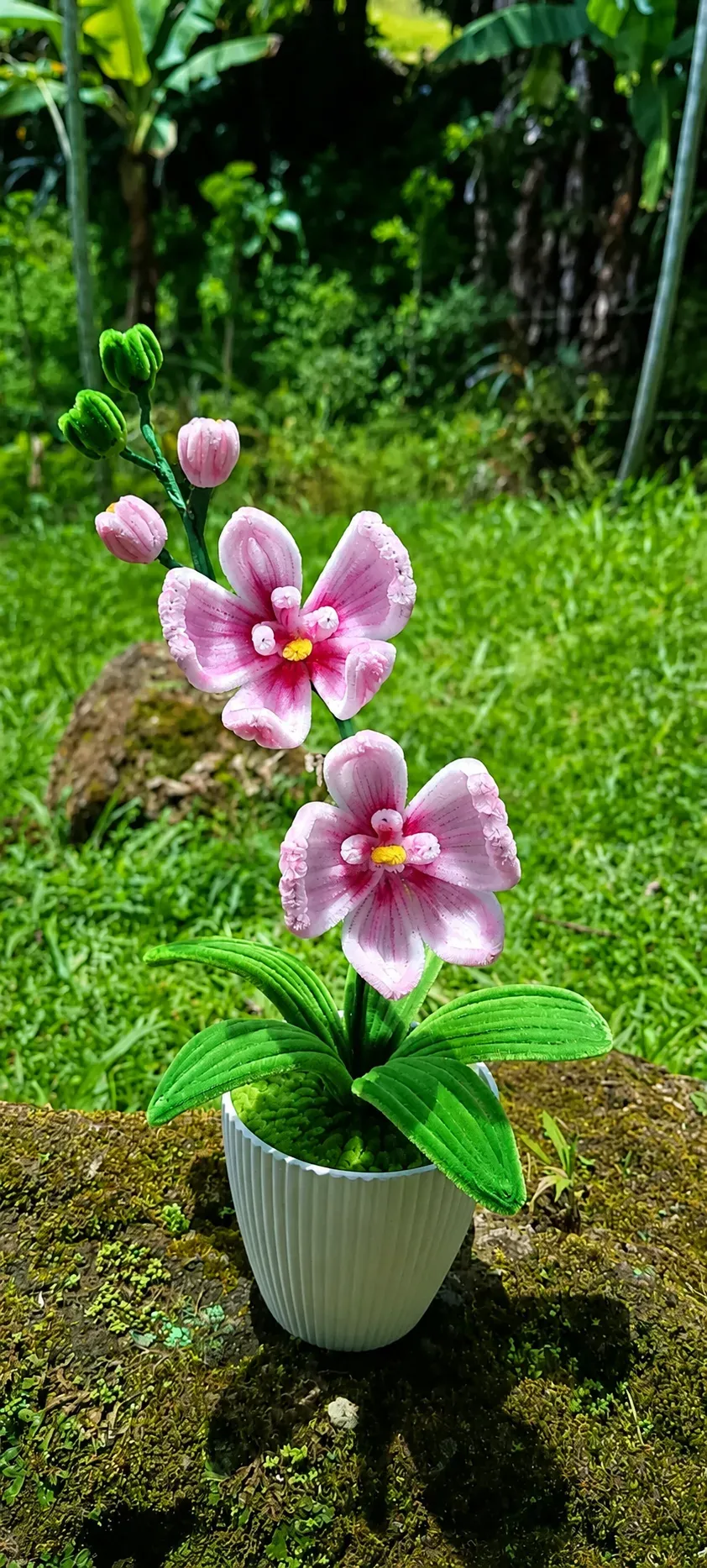 Orquídea de limpiapipas