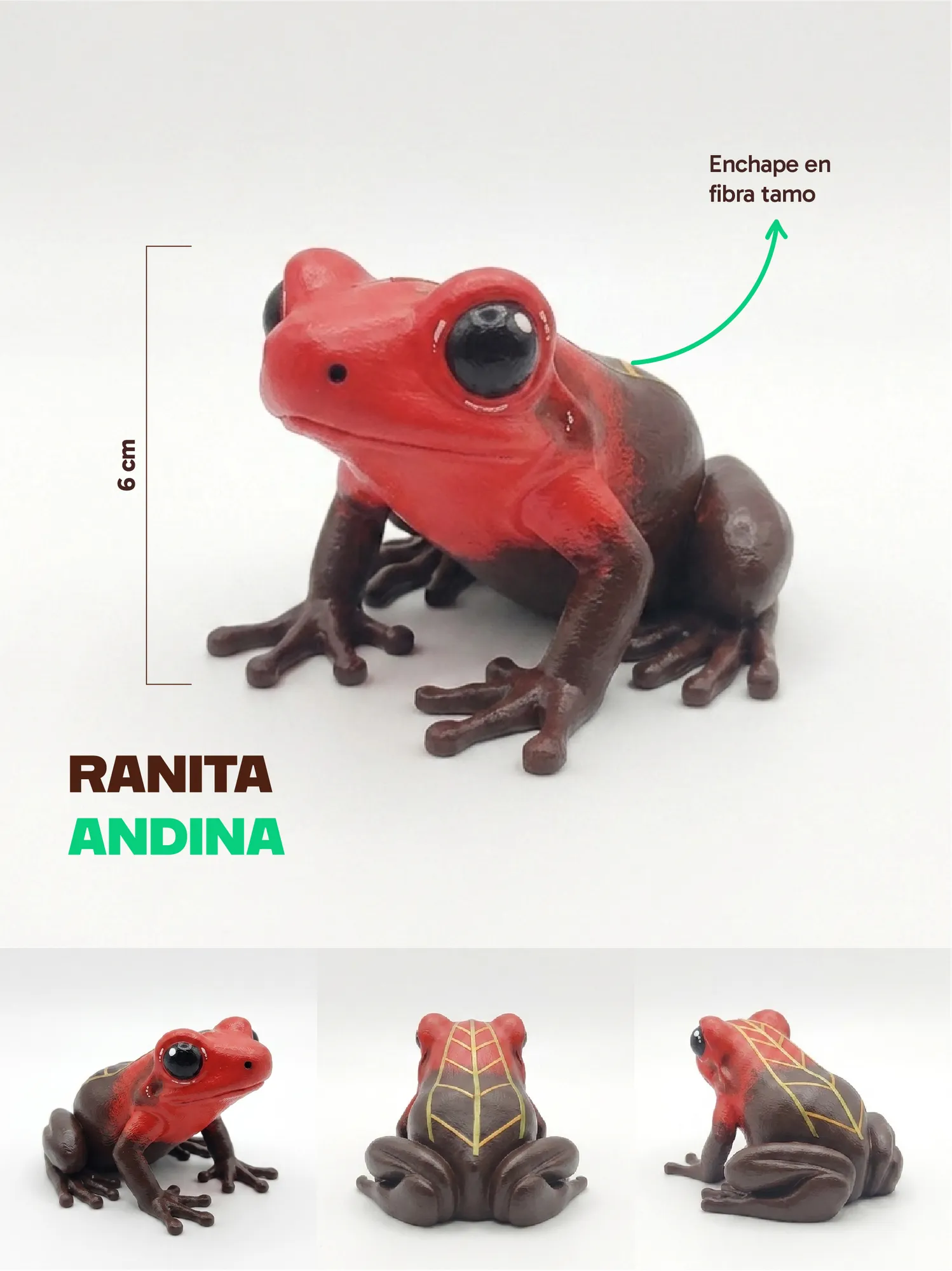 RANITA ANDINA