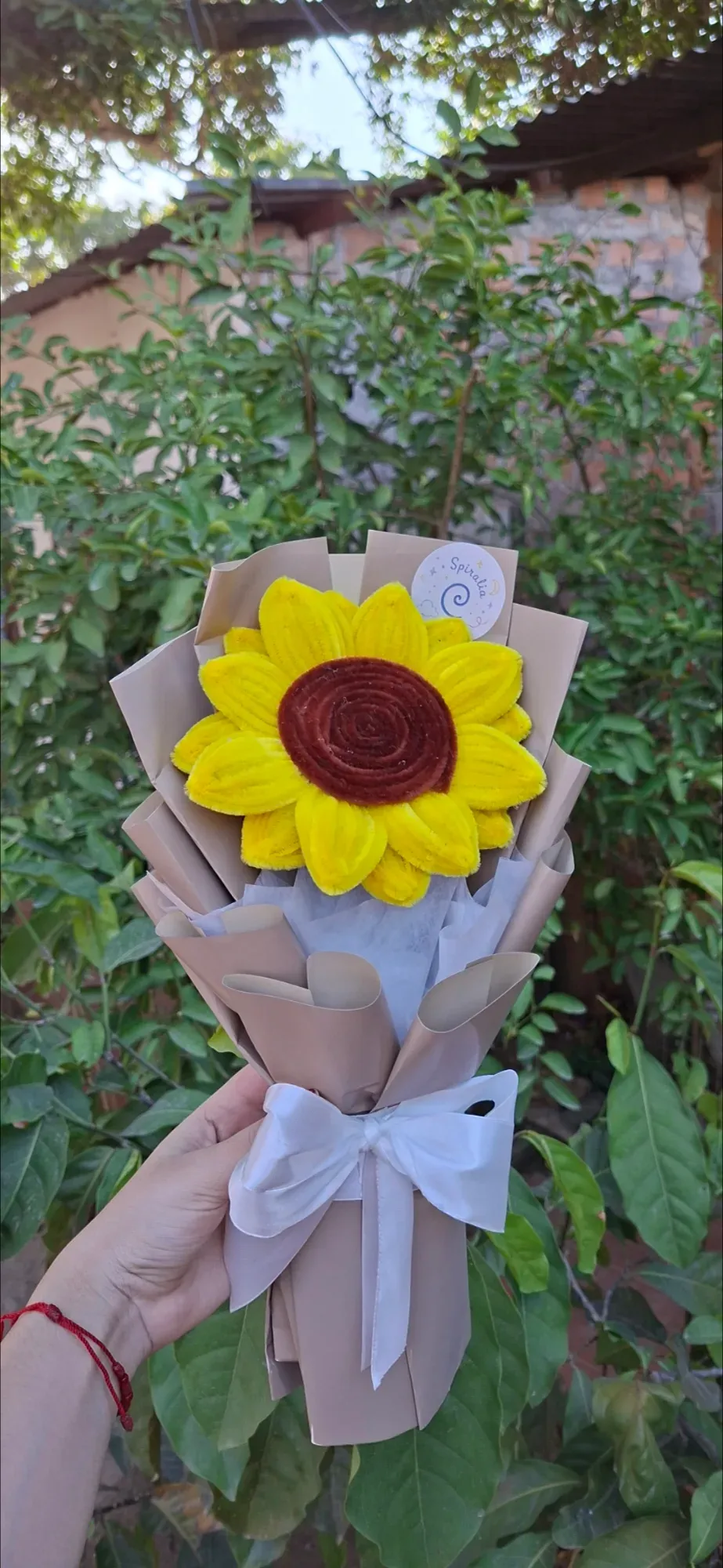 Girasol Primavera grande