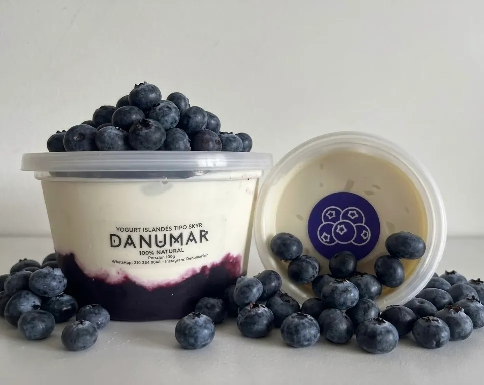 Danumar Arándanos 🫐 Familiar  (500g)