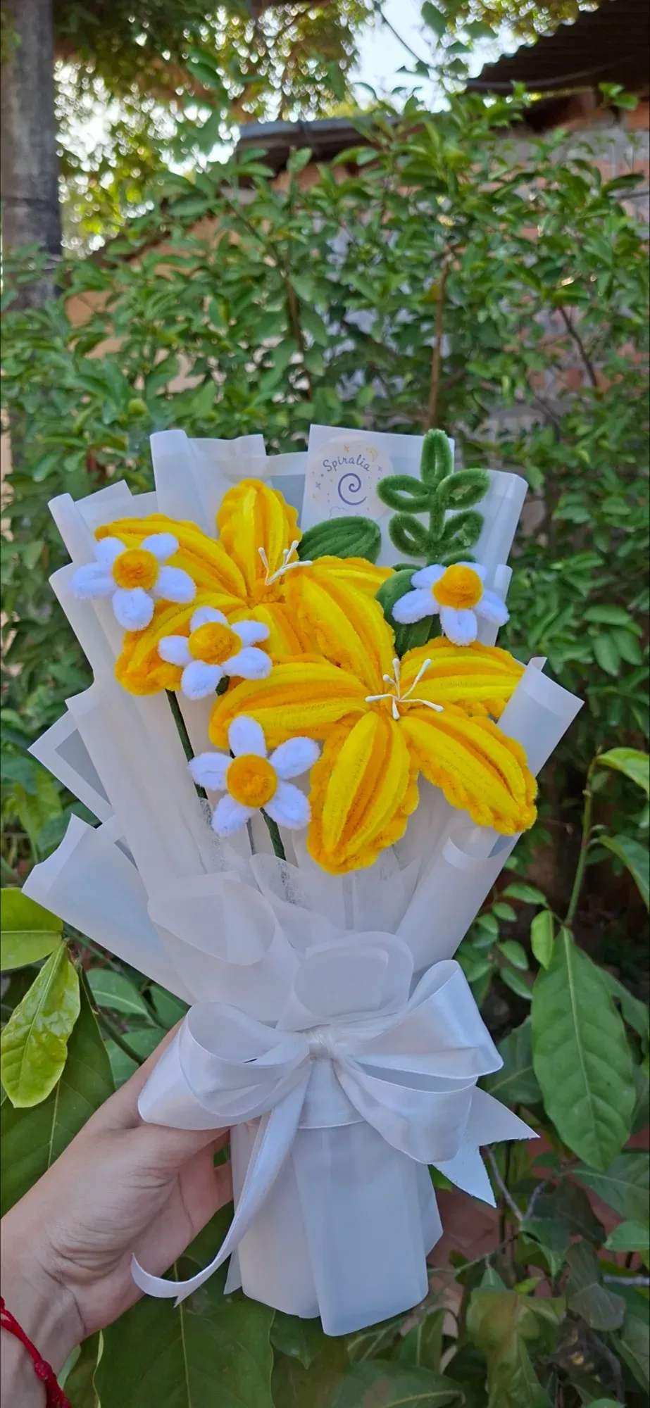 Lirios Primavera 