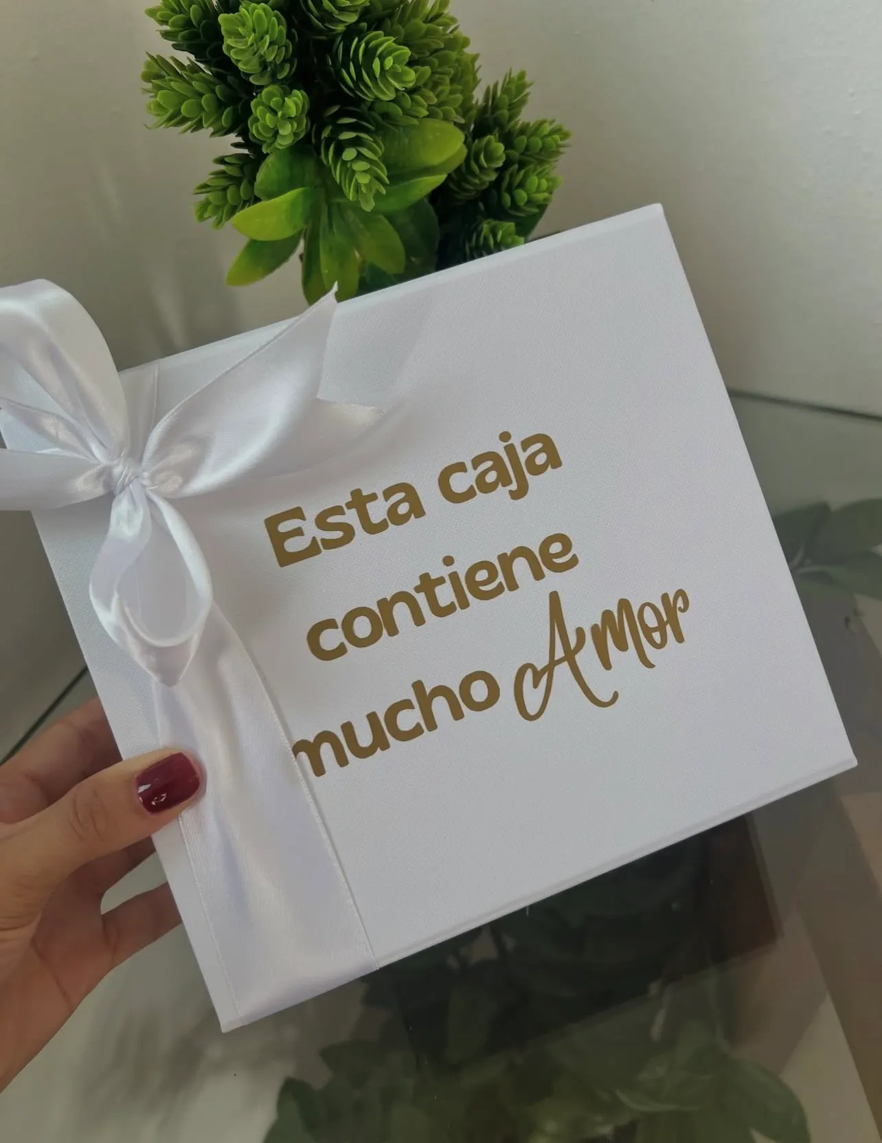     Caja de RevelacióN