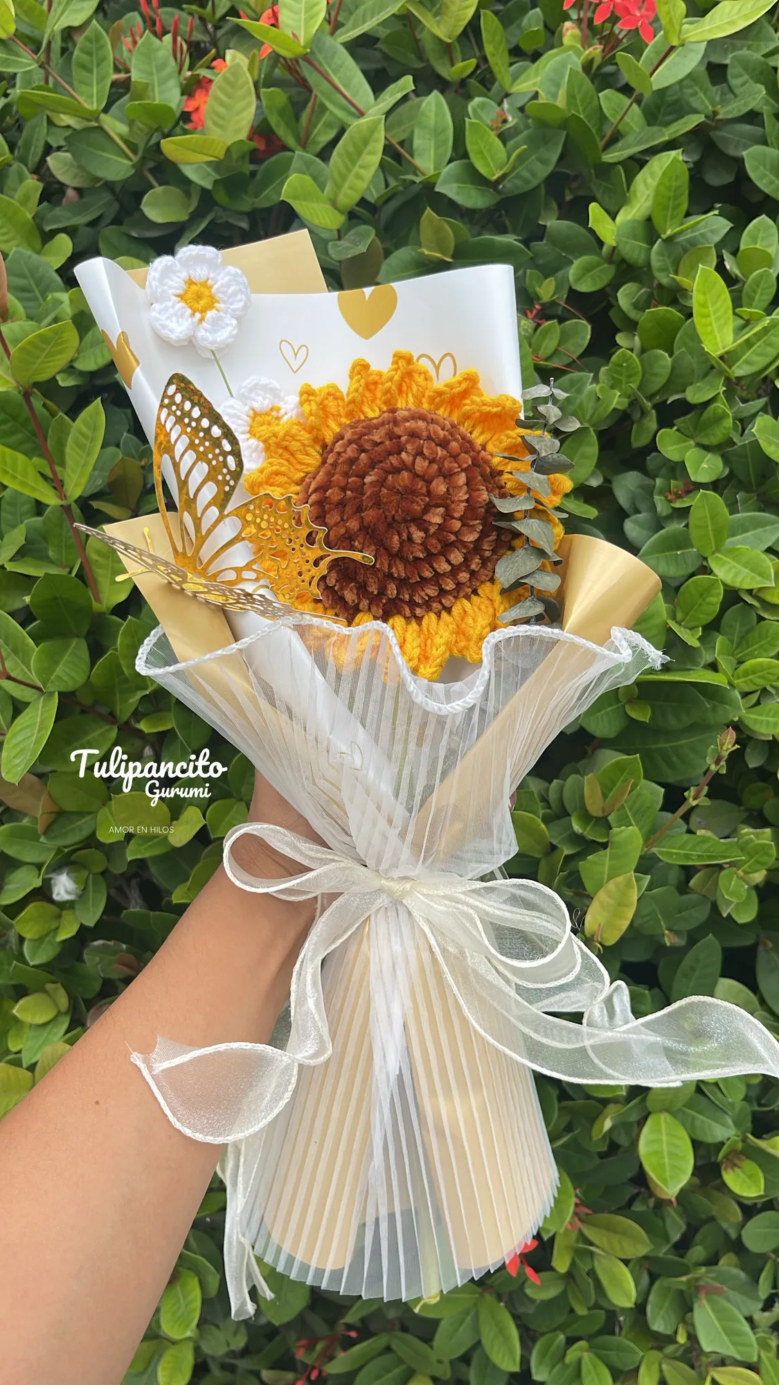 Girasol