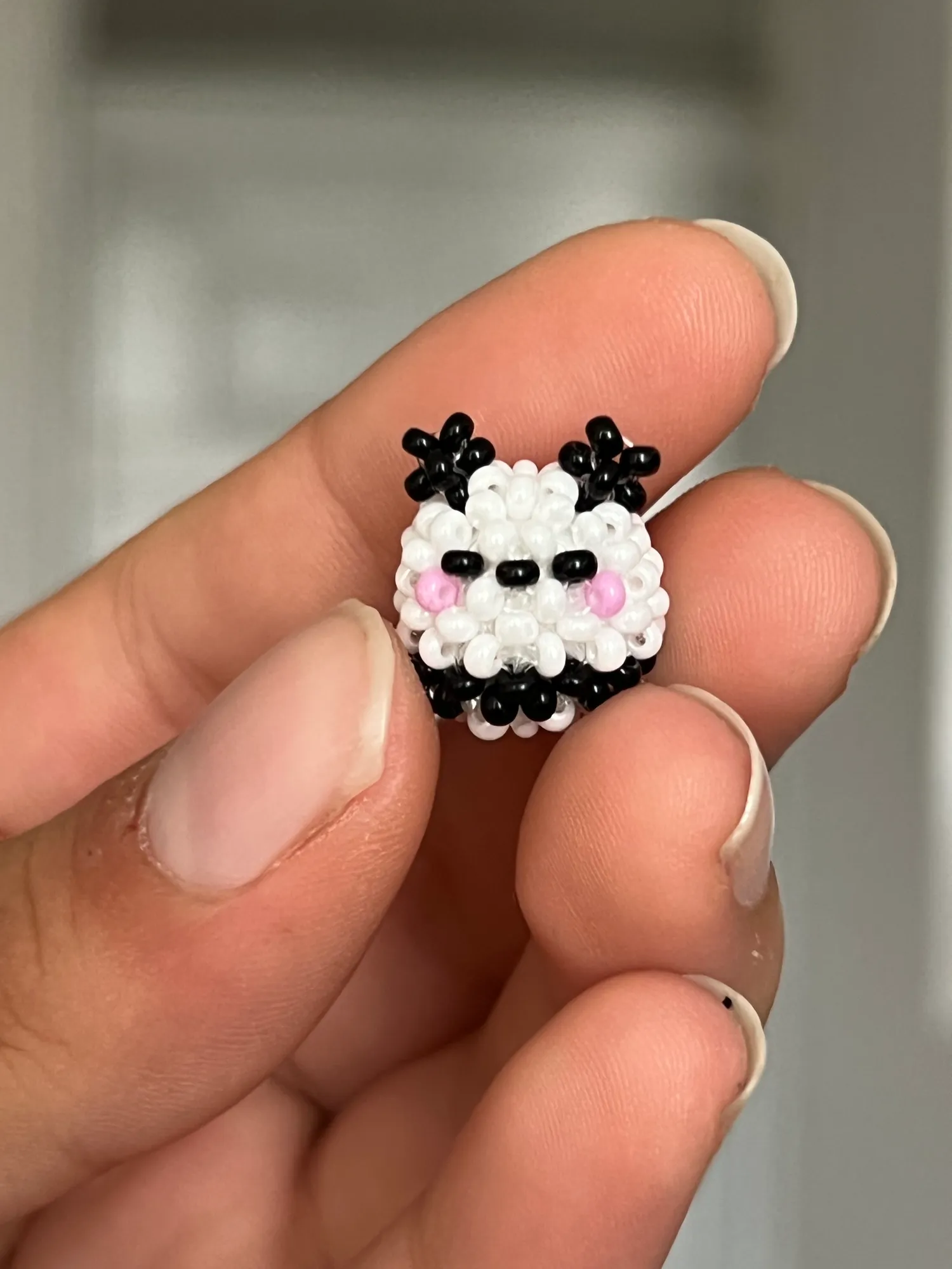 Pandita - Image 2
