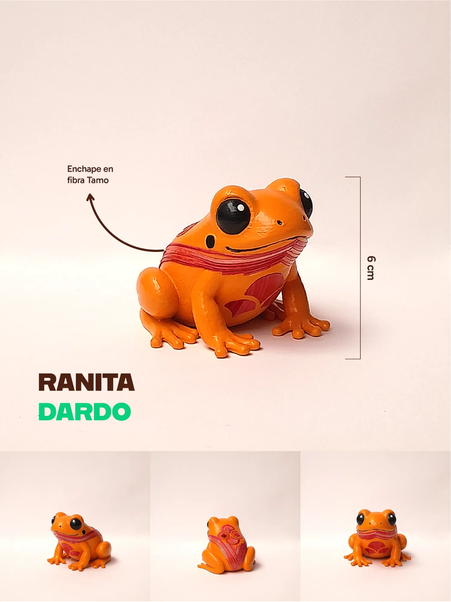 RANITA DARDO