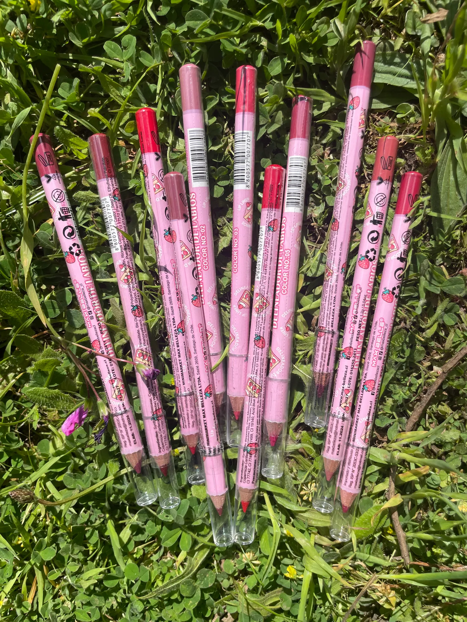 Delineador Labios
