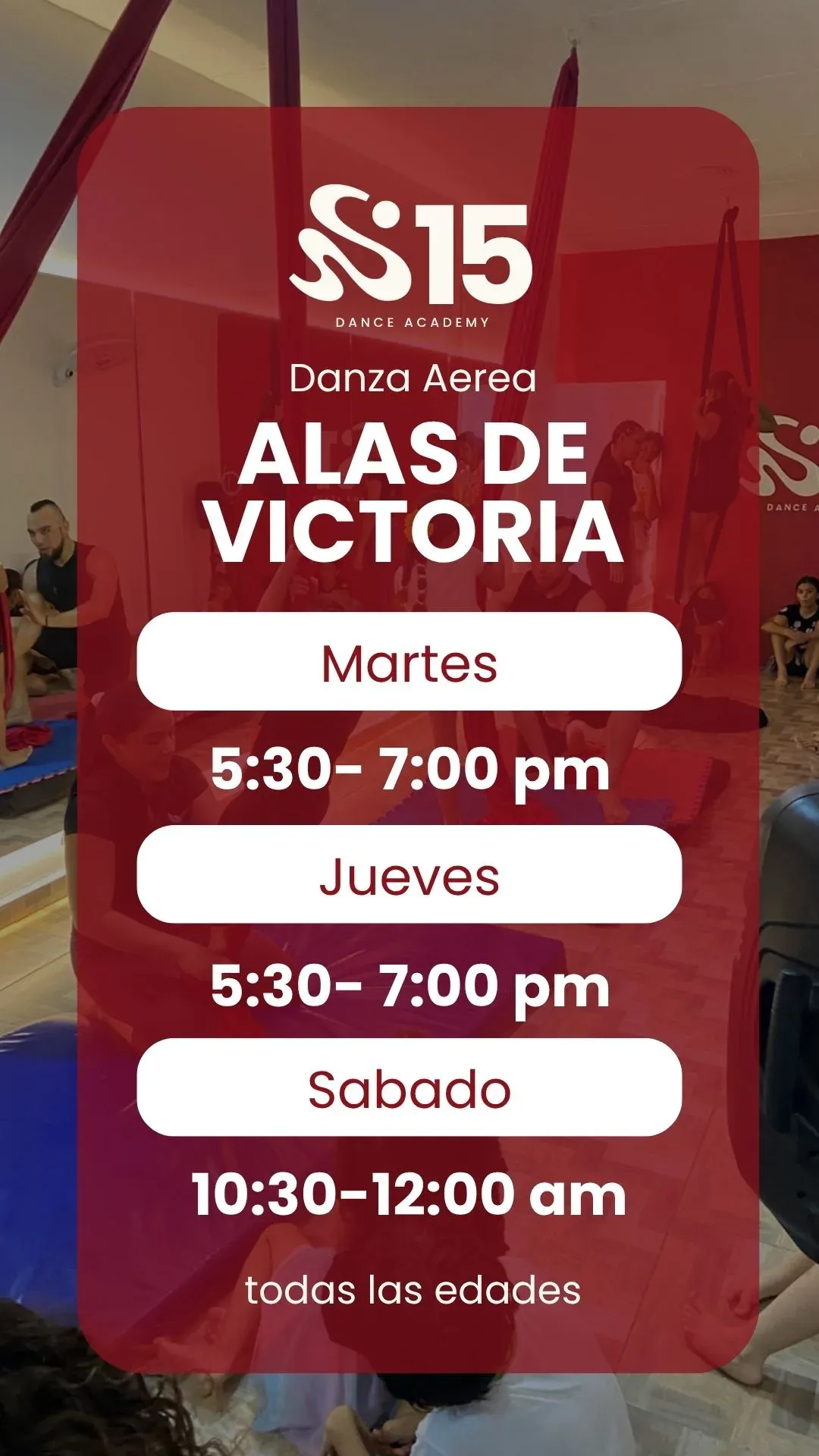 DANZA AEREA (NIÑOS-ADULTOS)