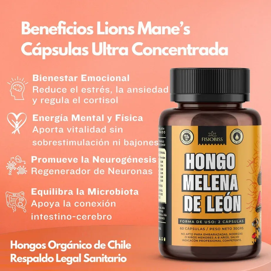 Melena de león - Image 2
