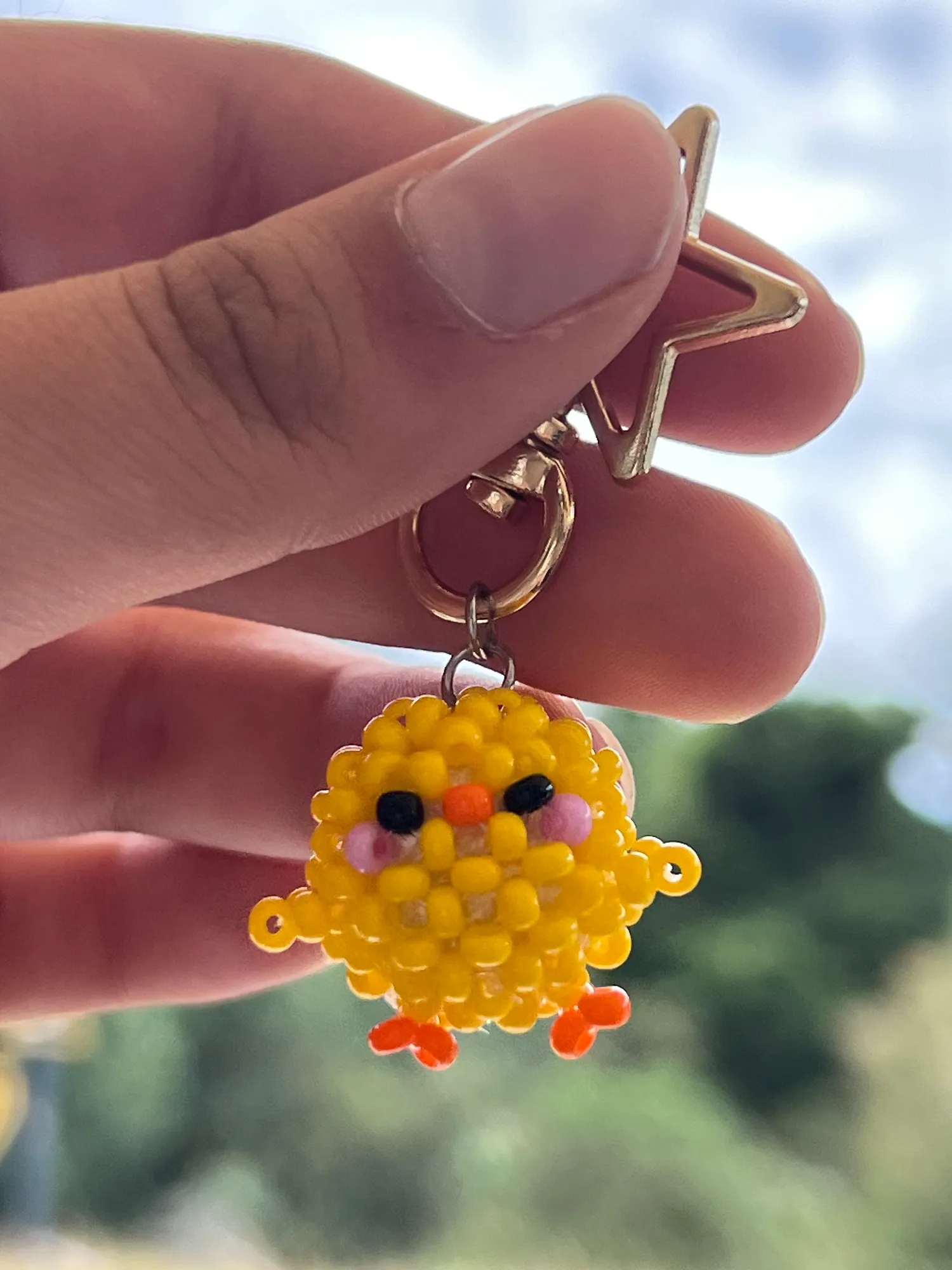 Pollito - Image 1