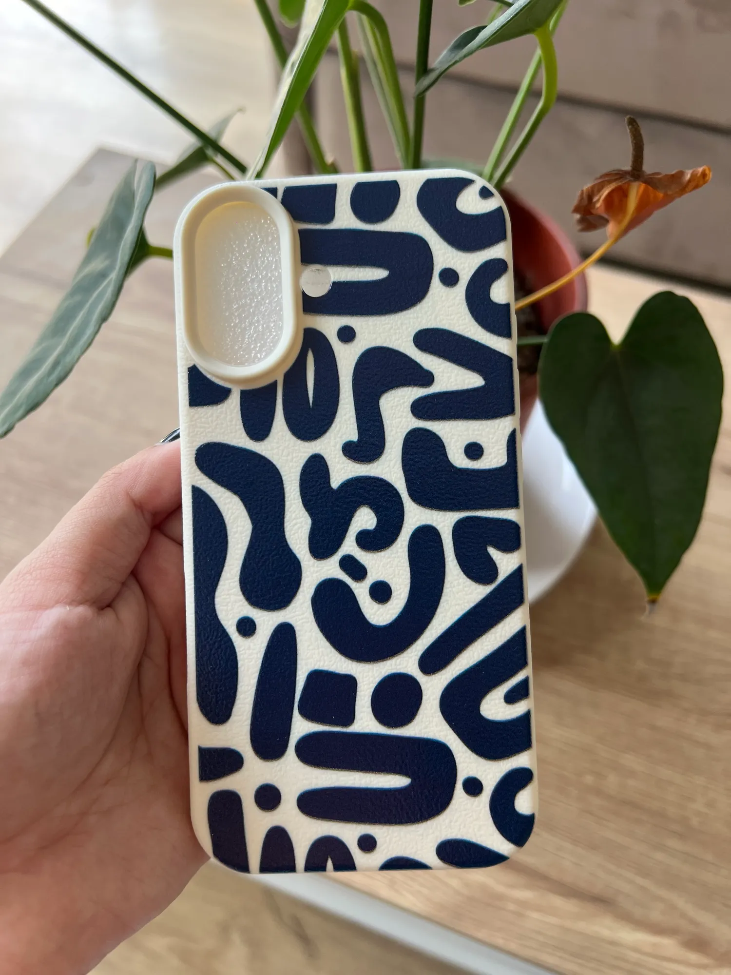 Case iPhone 16/17