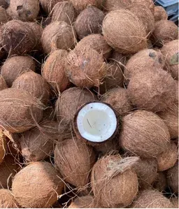 Coco en fruta