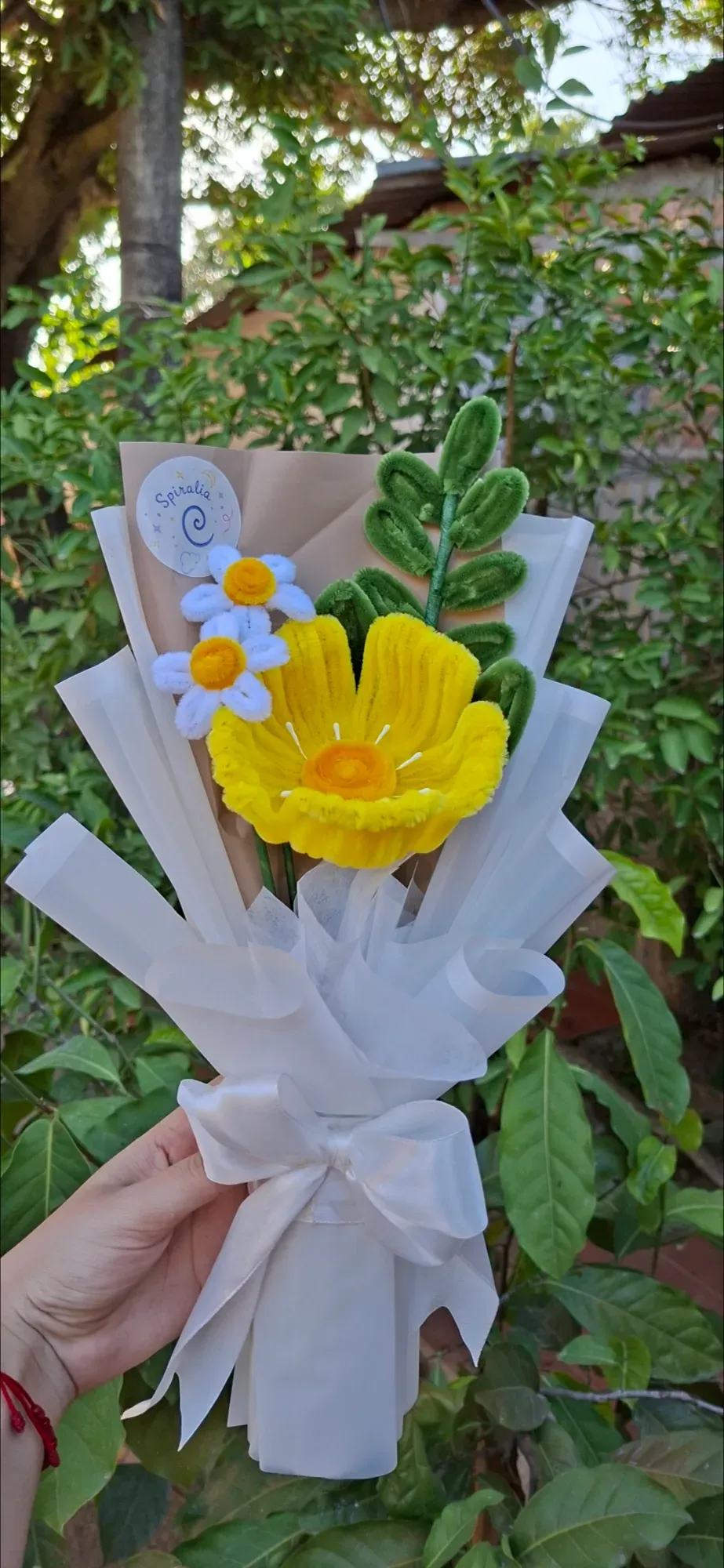 Amapola Primavera 